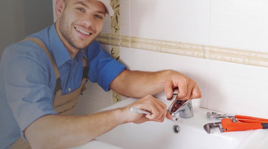 Professional Leak Detection Services services in Altura, MN